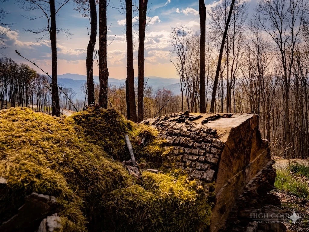 Image number 1 for the current listing