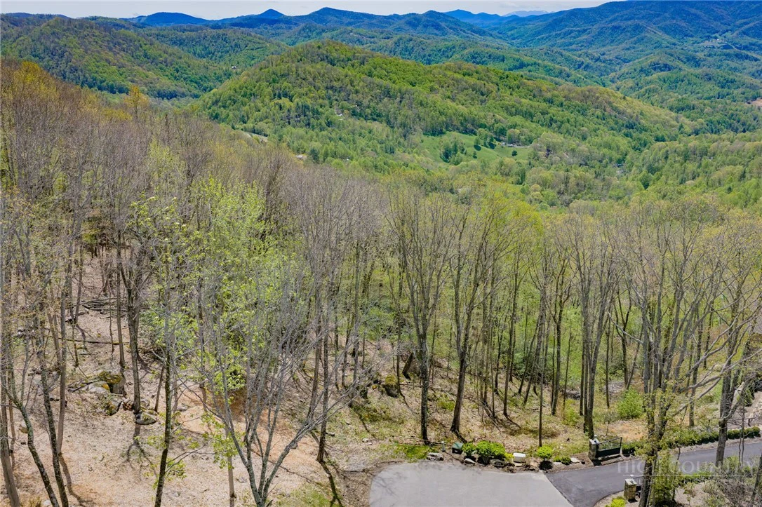 Image number 1 for the current listing
