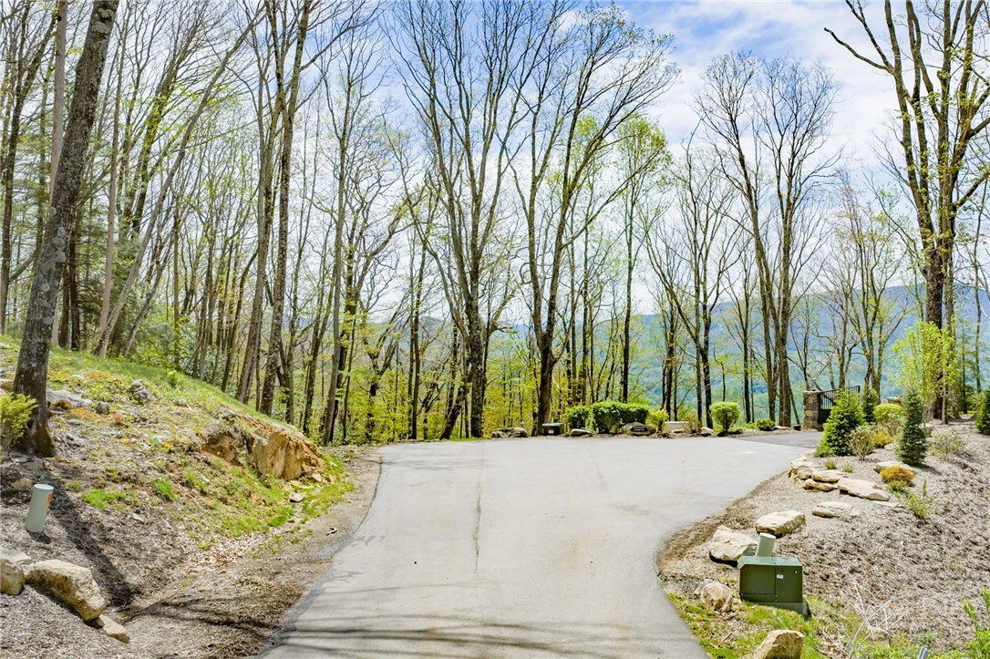 Image number 16 for the current listing