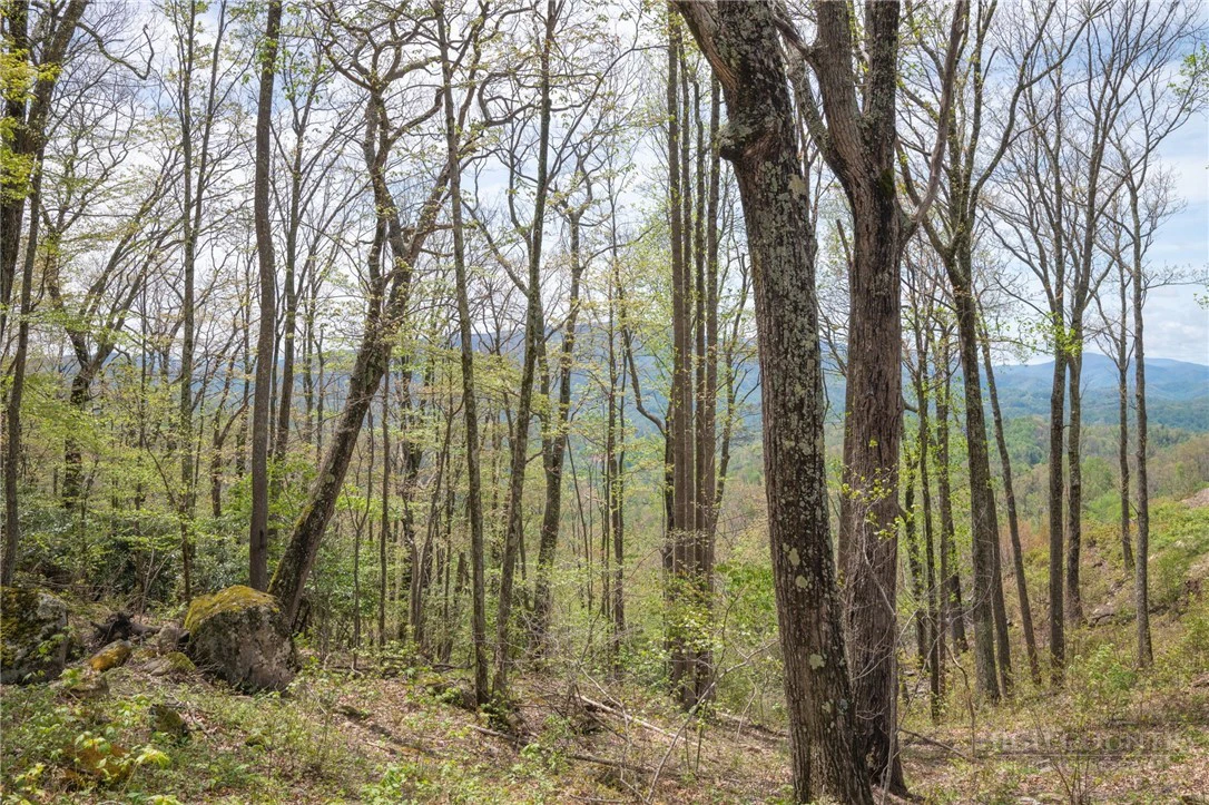 Image number 14 for the current listing