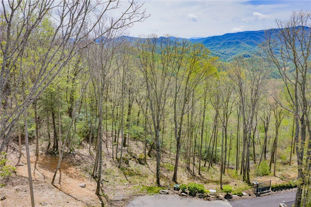 Image number 13 for the current listing