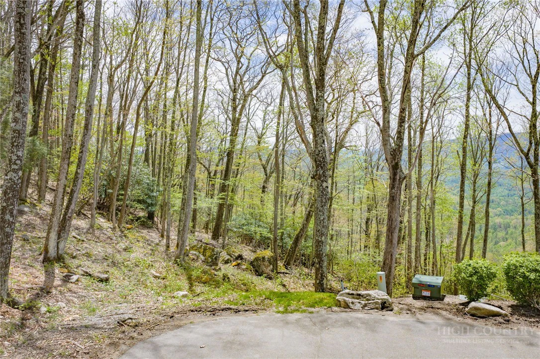 Image number 2 for the current listing