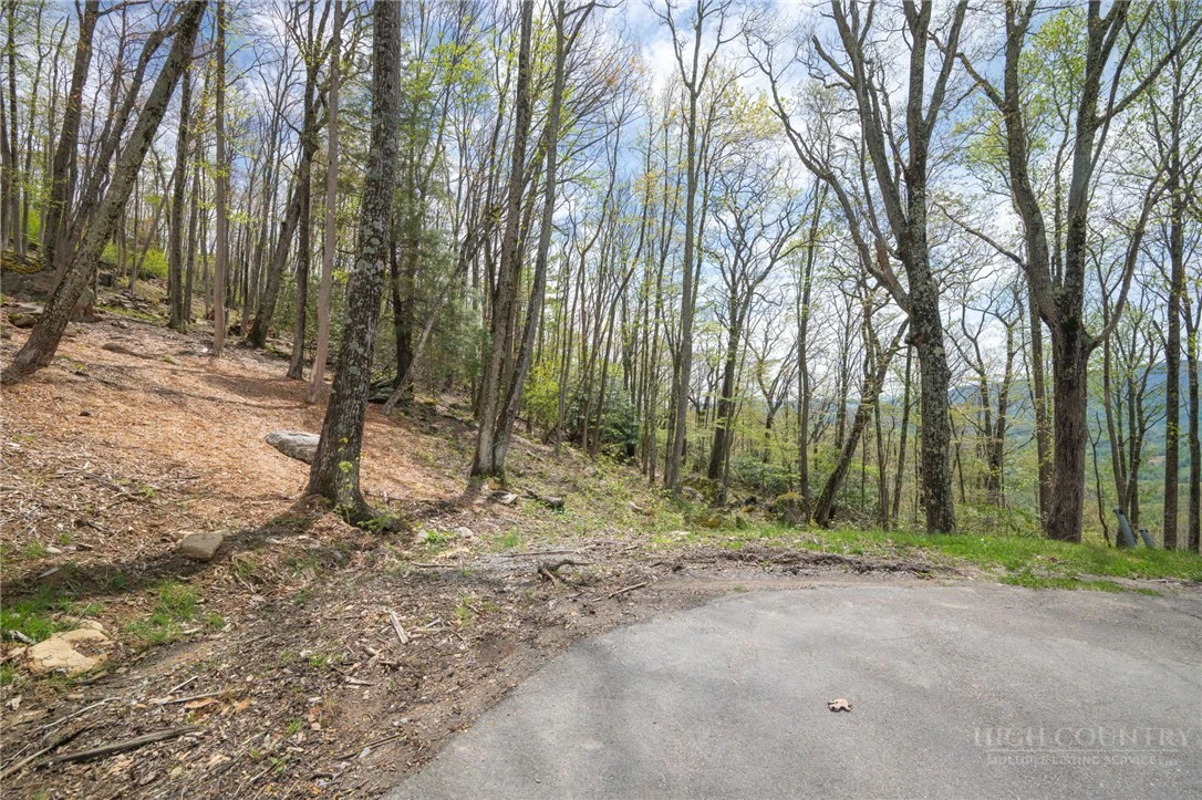 Image number 10 for the current listing