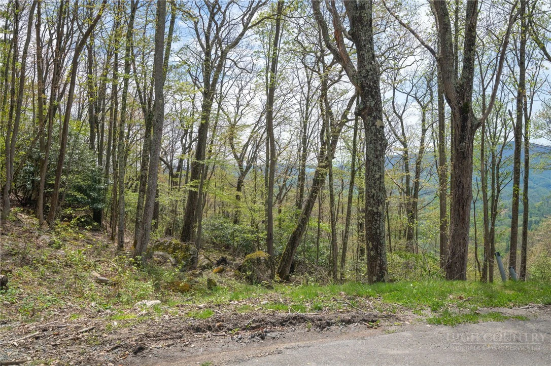 Image number 9 for the current listing