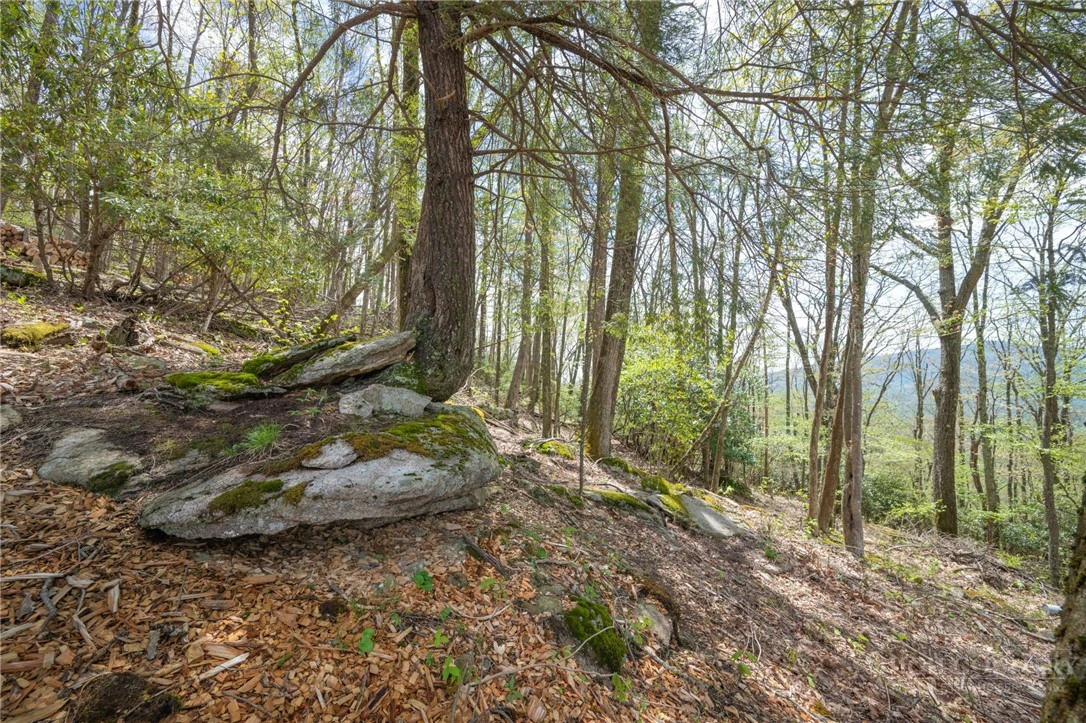 Image number 8 for the current listing