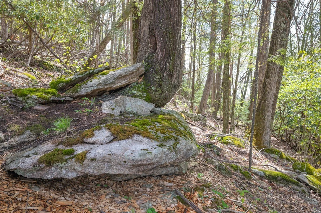 Image number 7 for the current listing