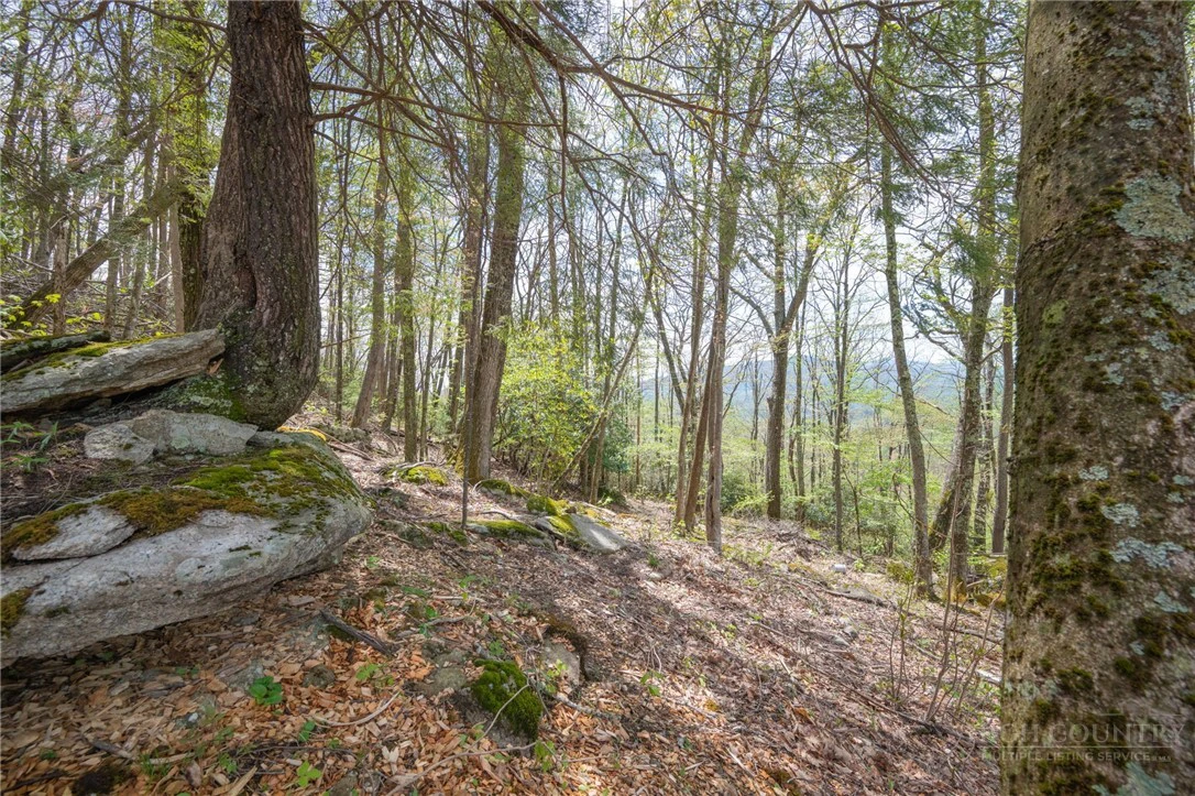 Image number 6 for the current listing
