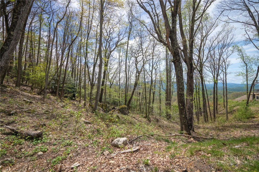 Image number 5 for the current listing