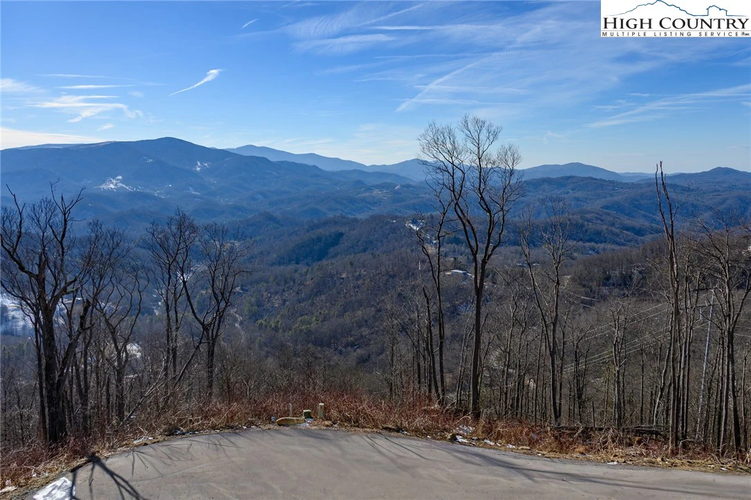 Image number 1 for the current listing