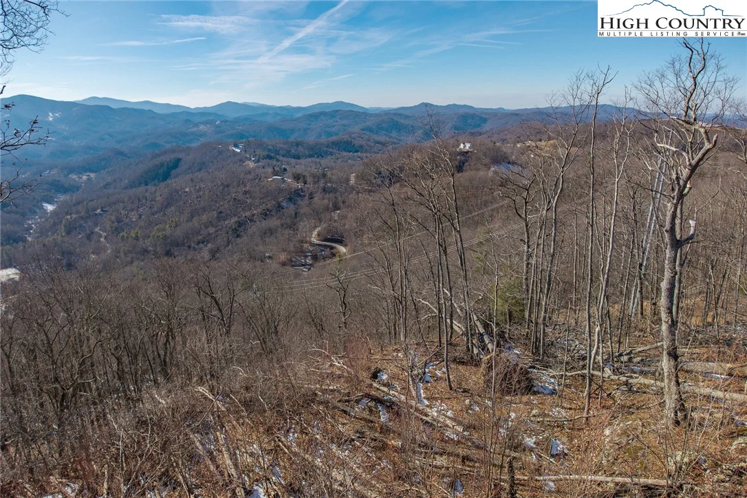 Image number 7 for the current listing