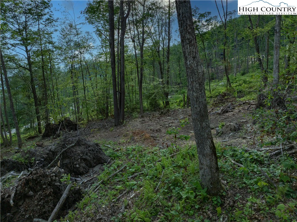 Image number 4 for the current listing