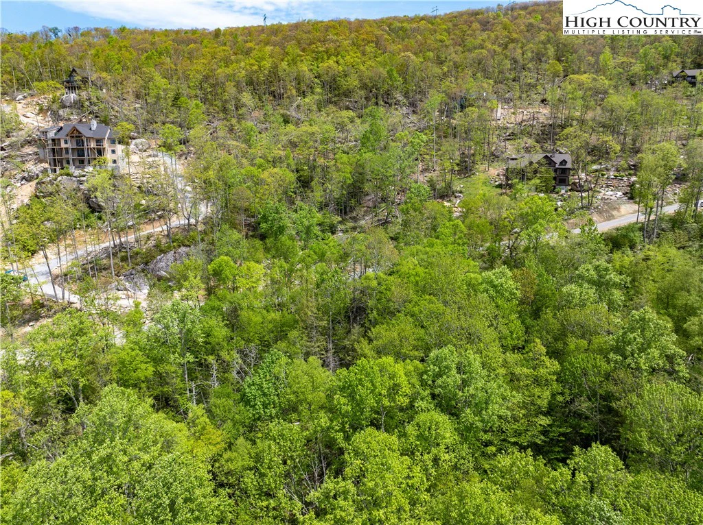 Image number 3 for the current listing