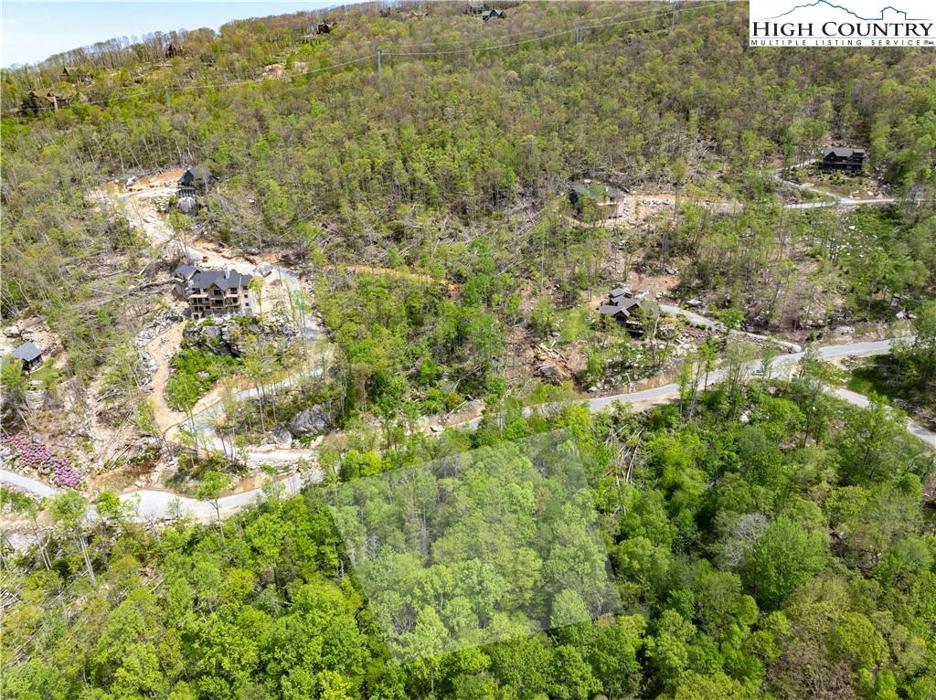 Image number 7 for the current listing