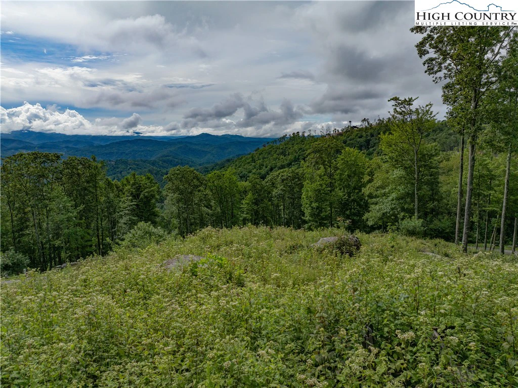 Image number 4 for the current listing