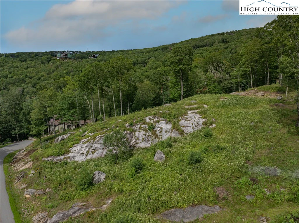 Image number 3 for the current listing