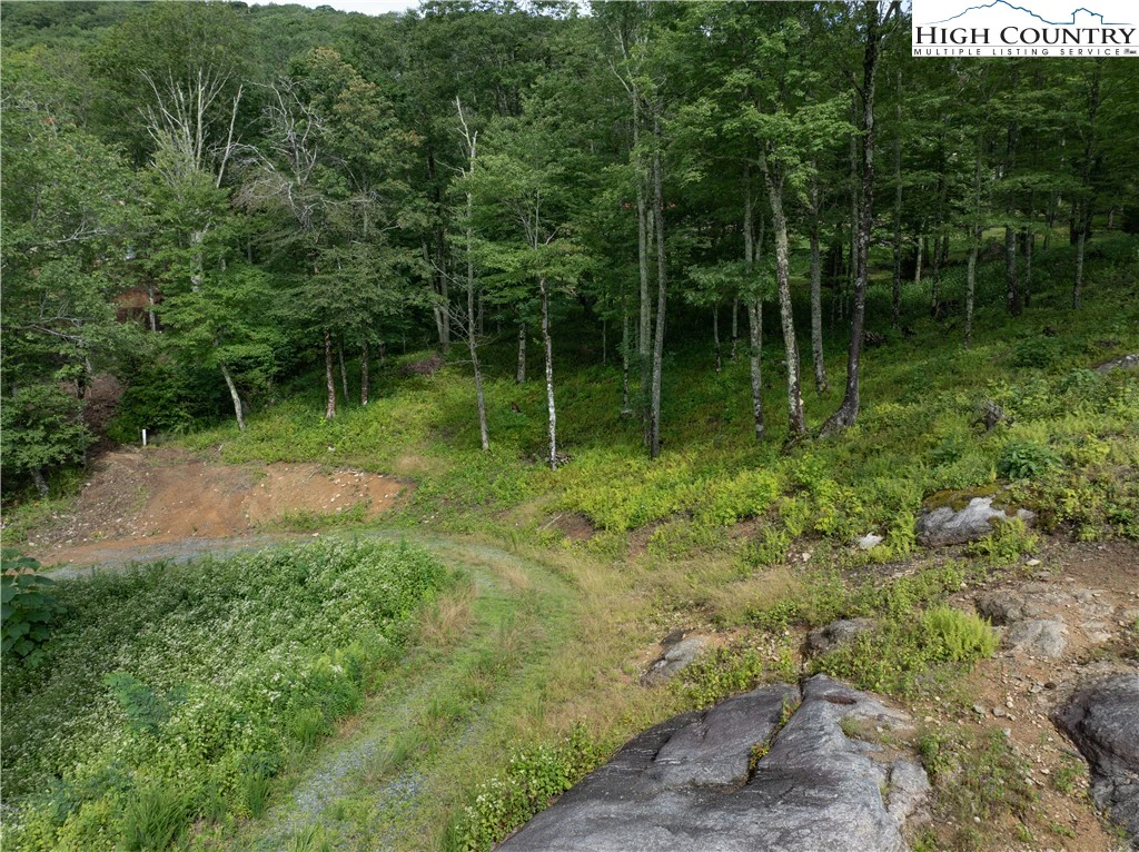 Image number 17 for the current listing