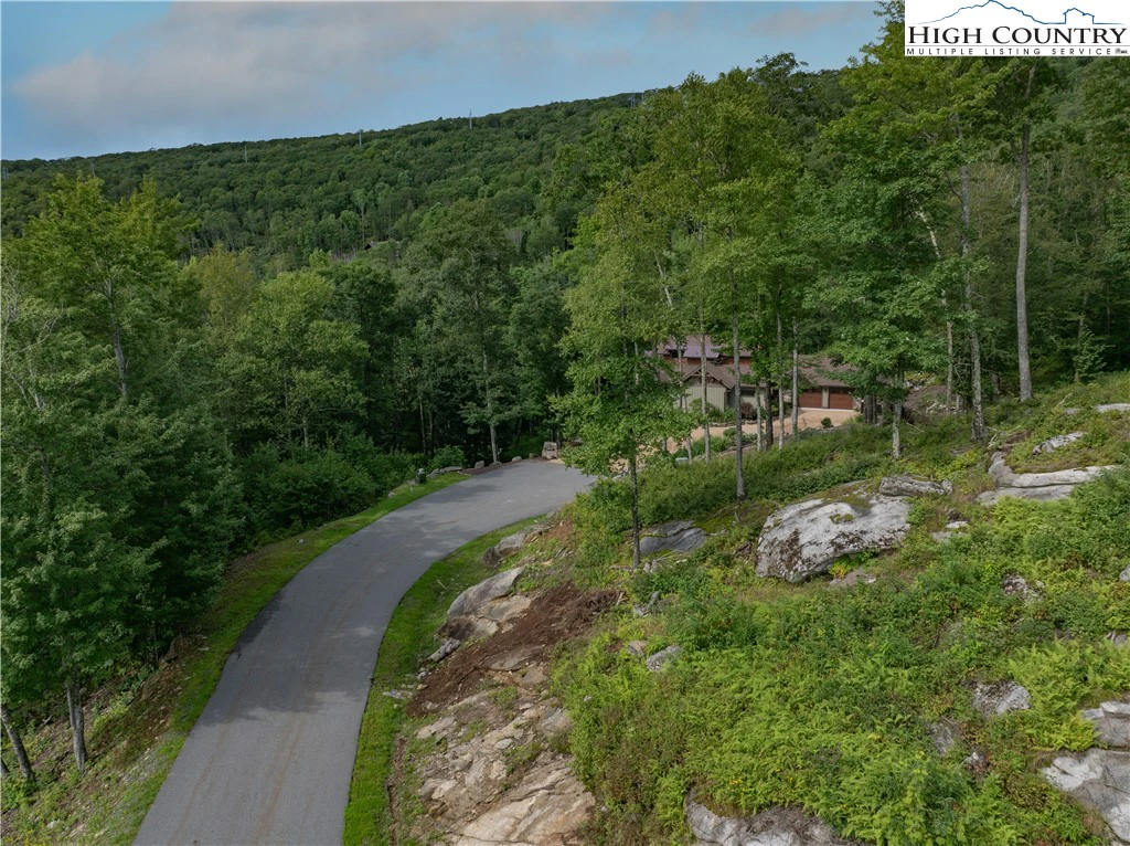 Image number 14 for the current listing