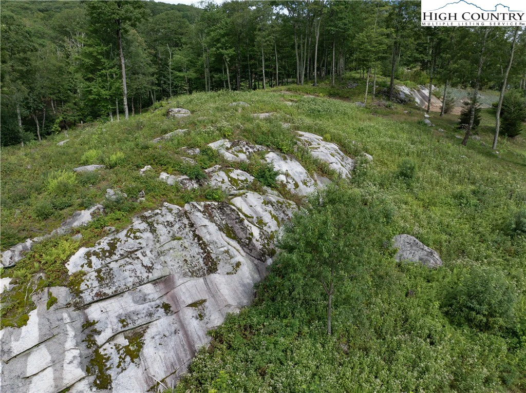Image number 13 for the current listing