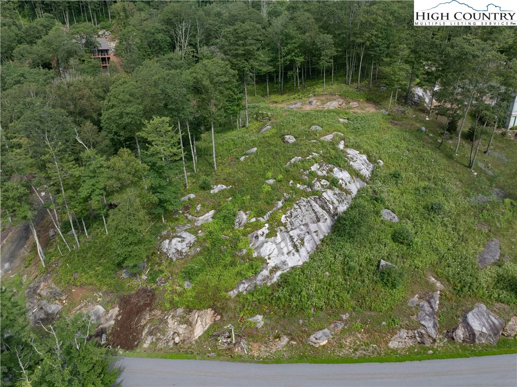 Image number 2 for the current listing