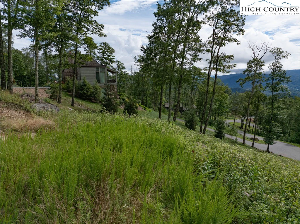 Image number 6 for the current listing