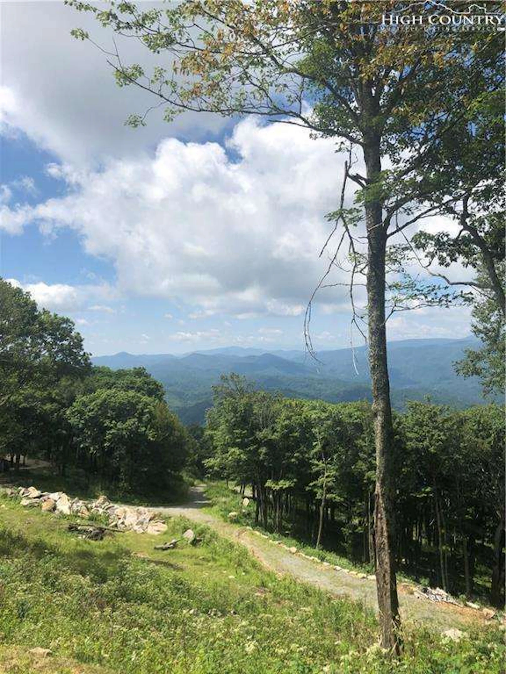 Image number 1 for the current listing