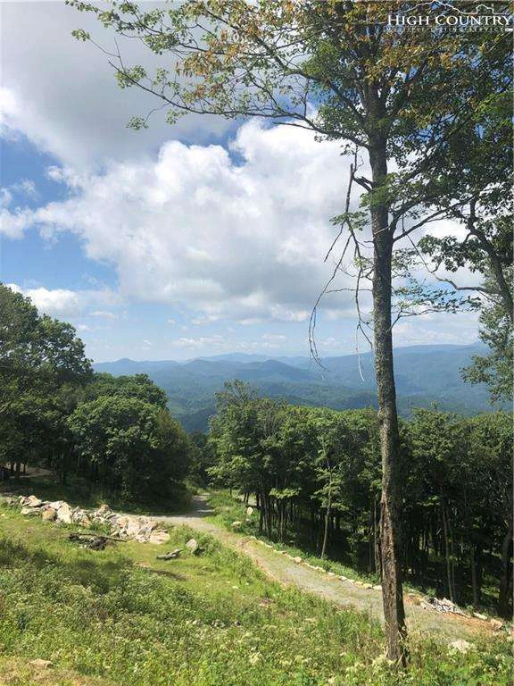 Image number 1 for the current listing