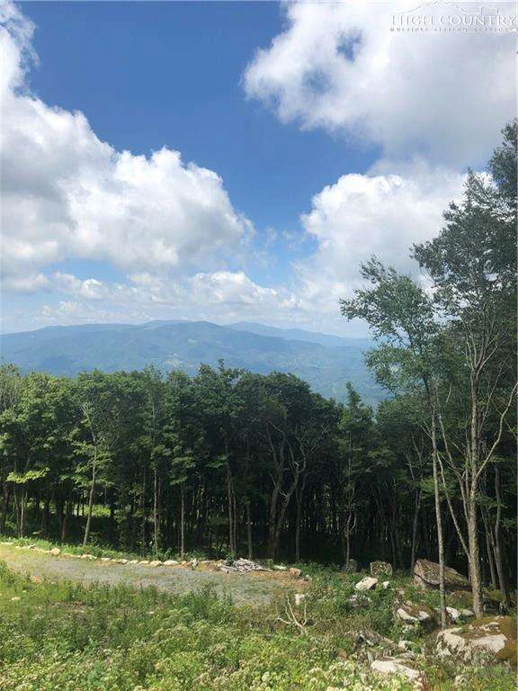 Image number 3 for the current listing