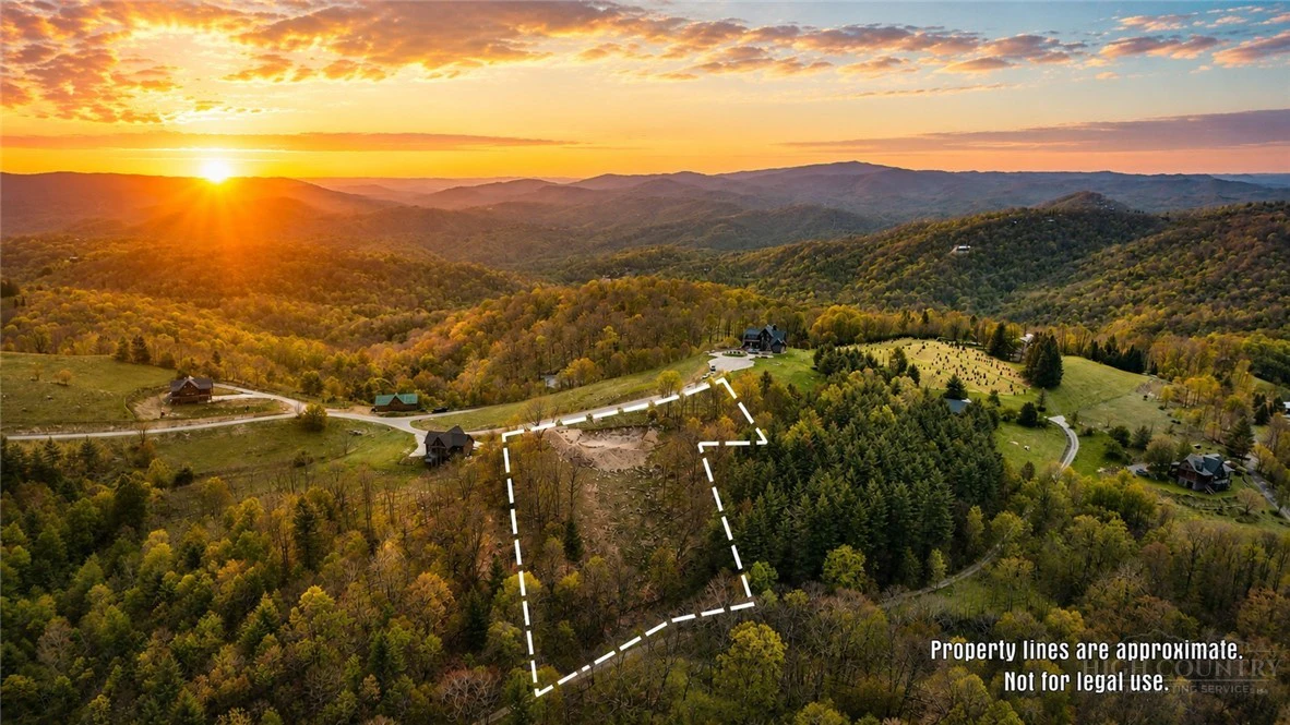Image number 1 for the current listing