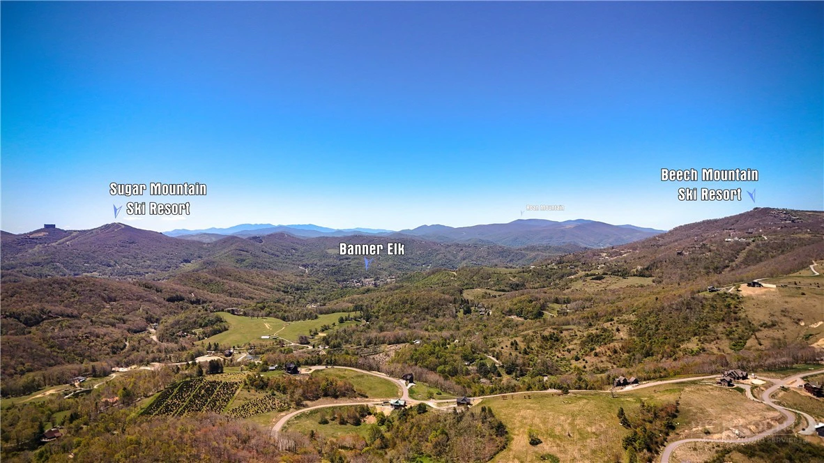 Image number 5 for the current listing