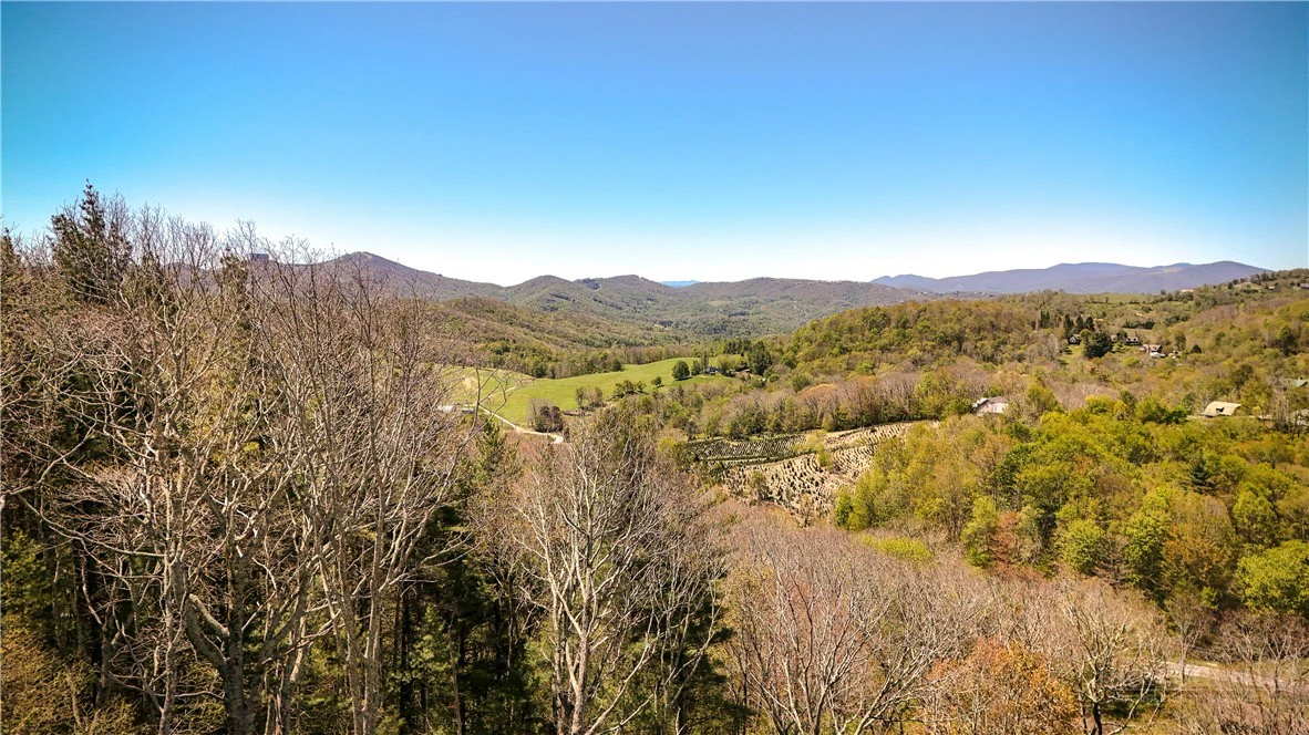 Image number 6 for the current listing