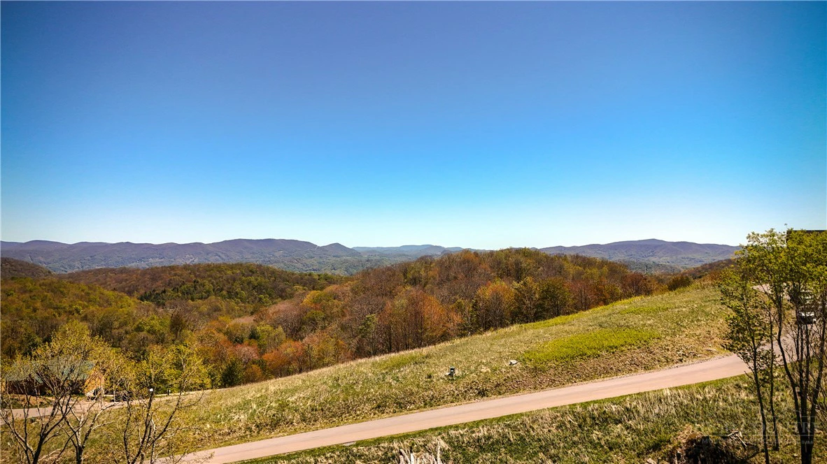 Image number 7 for the current listing
