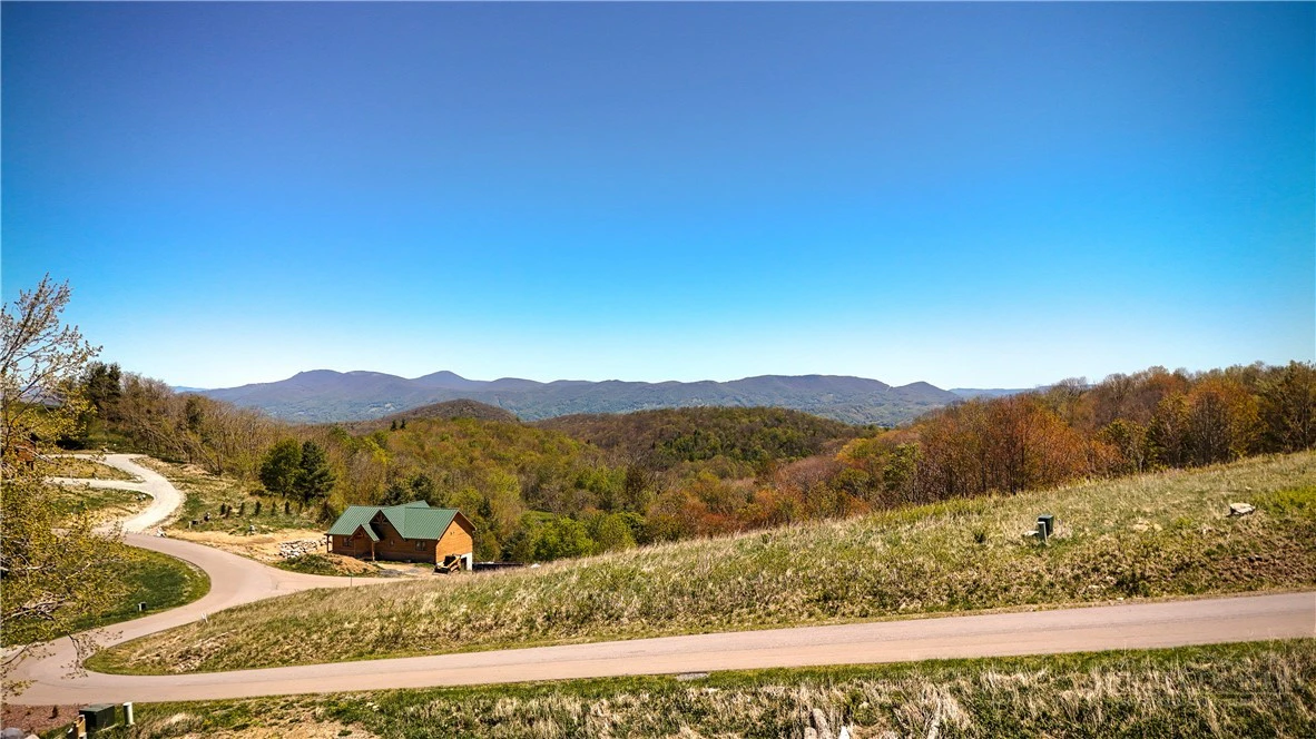 Image number 8 for the current listing