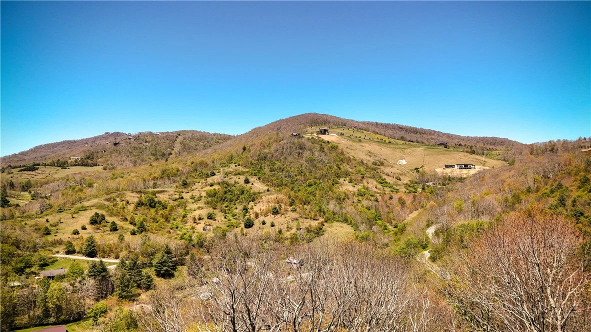 Image number 9 for the current listing