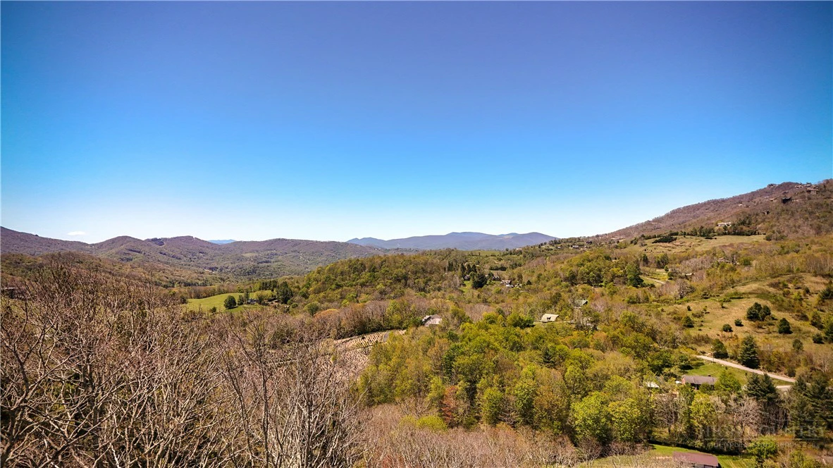 Image number 10 for the current listing