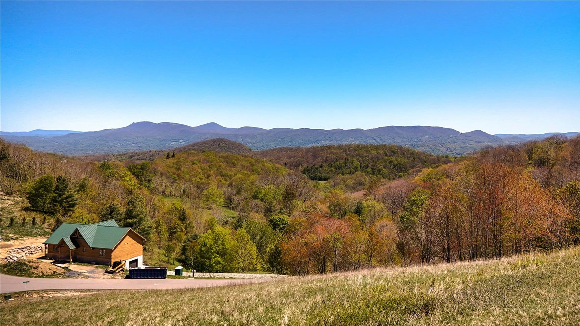 Image number 12 for the current listing