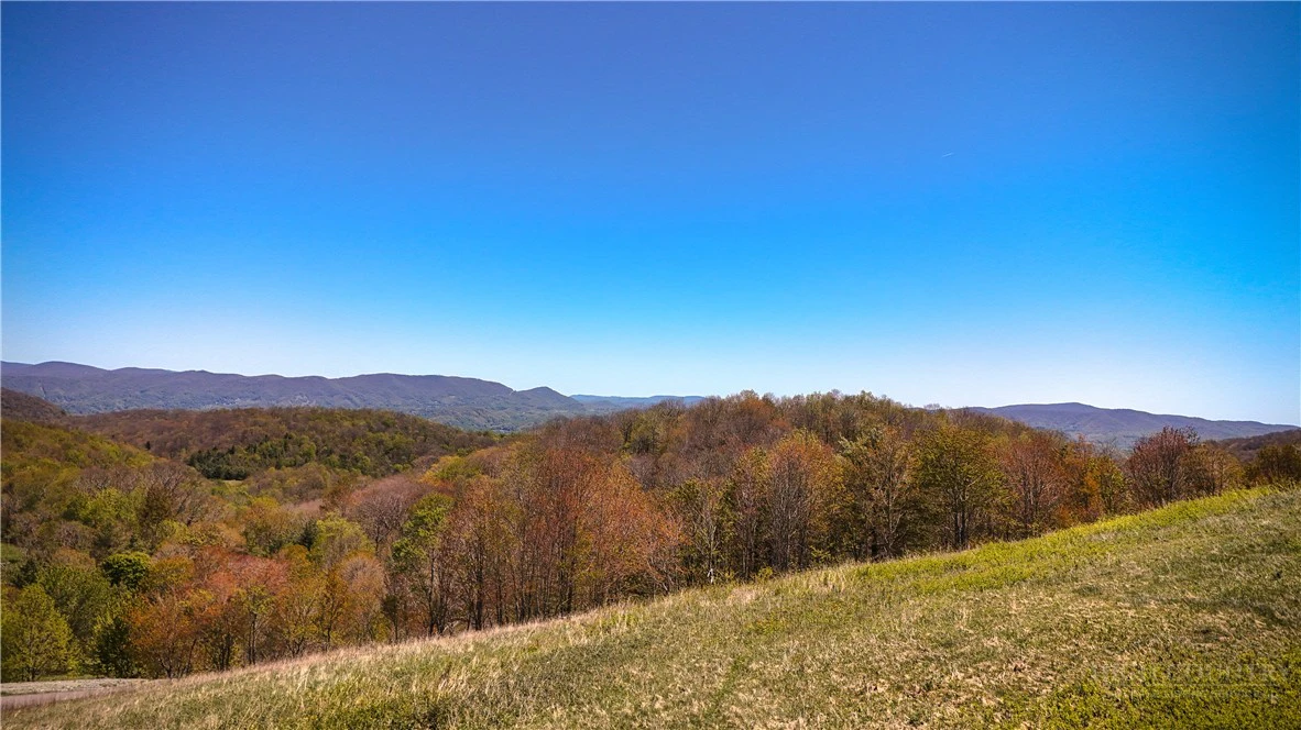 Image number 13 for the current listing