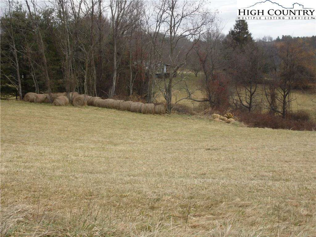 Image number 11 for the current listing