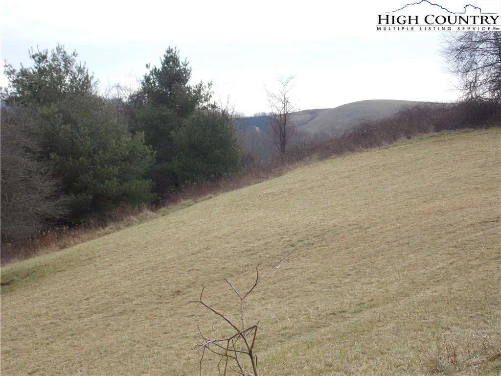 Image number 5 for the current listing