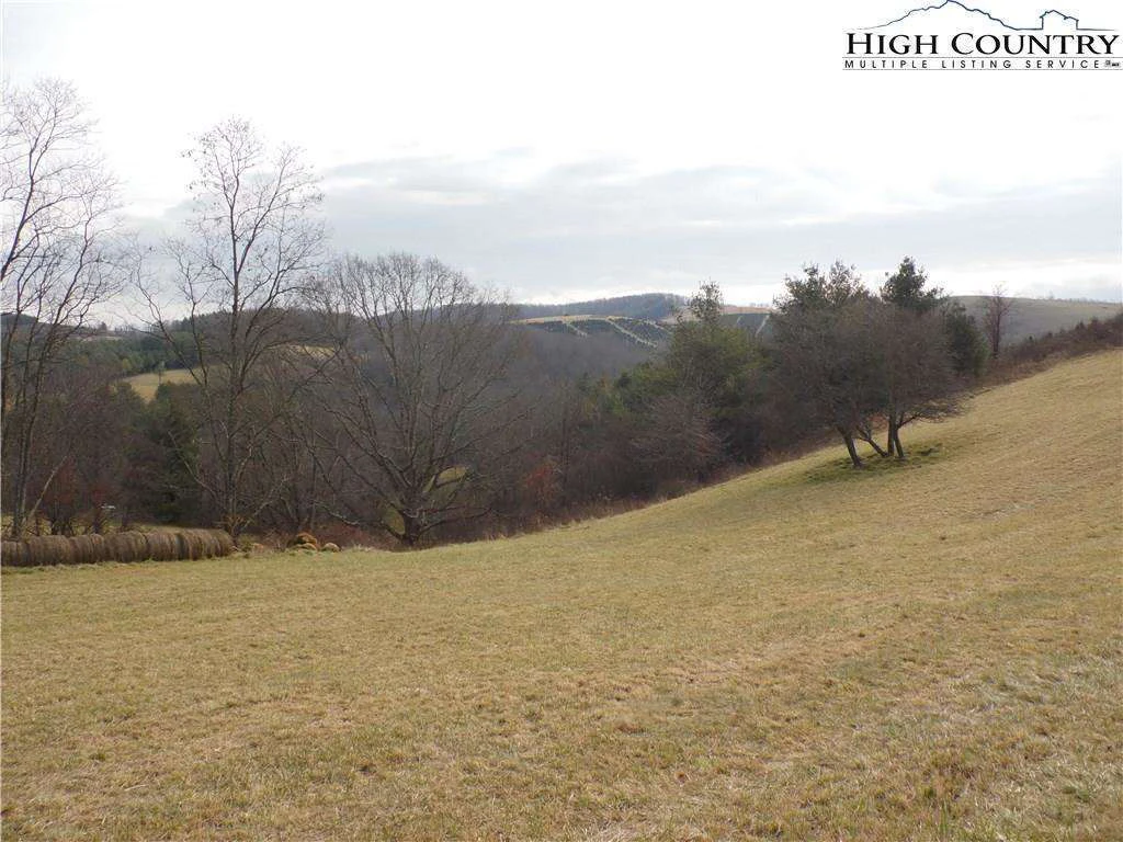 Image number 6 for the current listing