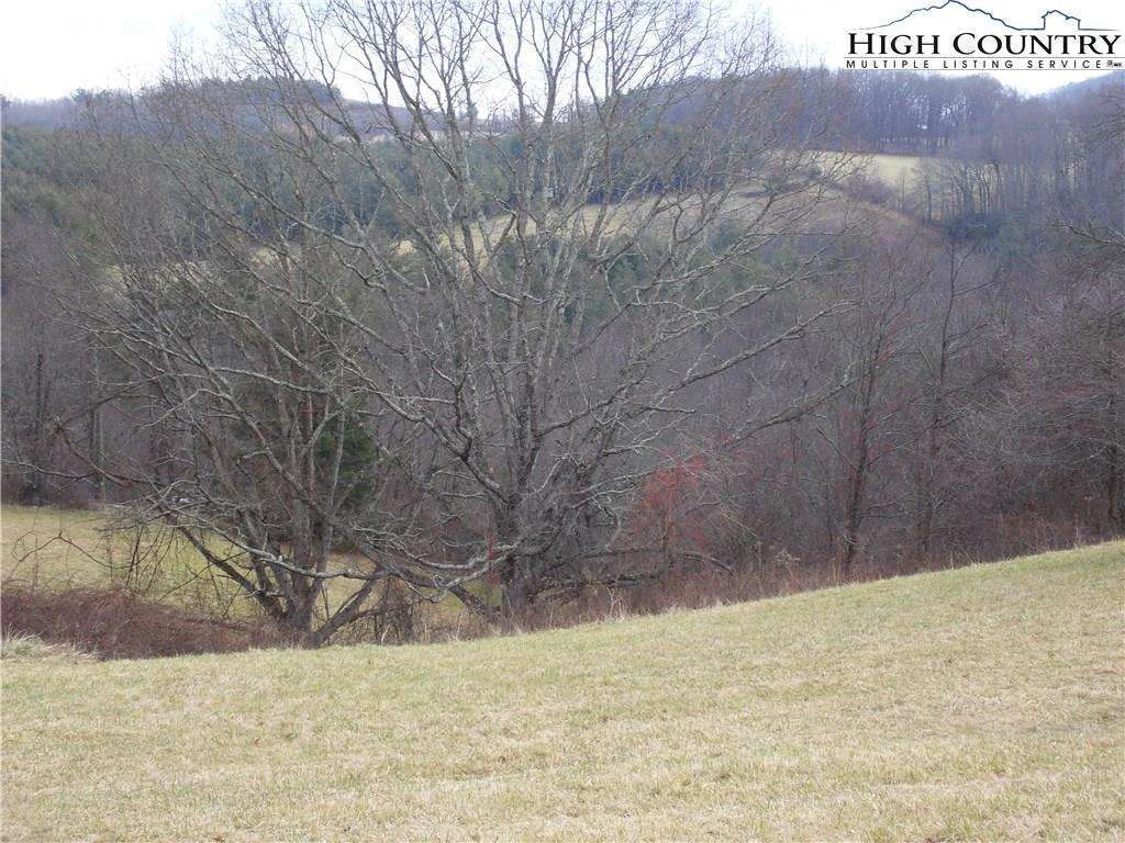 Image number 8 for the current listing