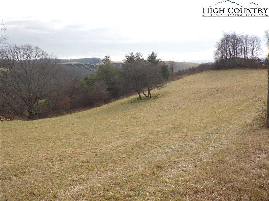 Image number 10 for the current listing