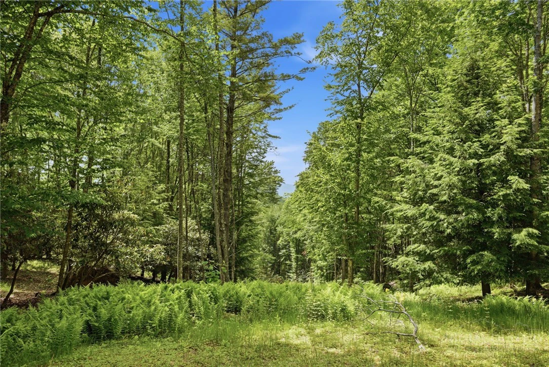 Image number 2 for the current listing