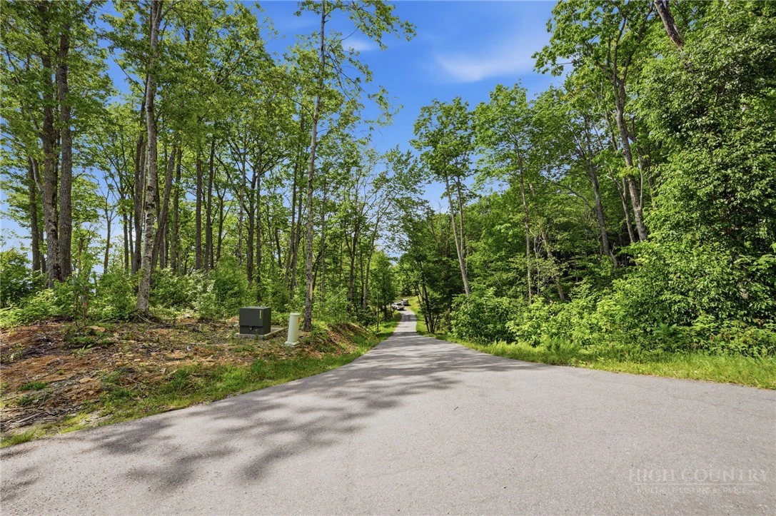 Image number 6 for the current listing