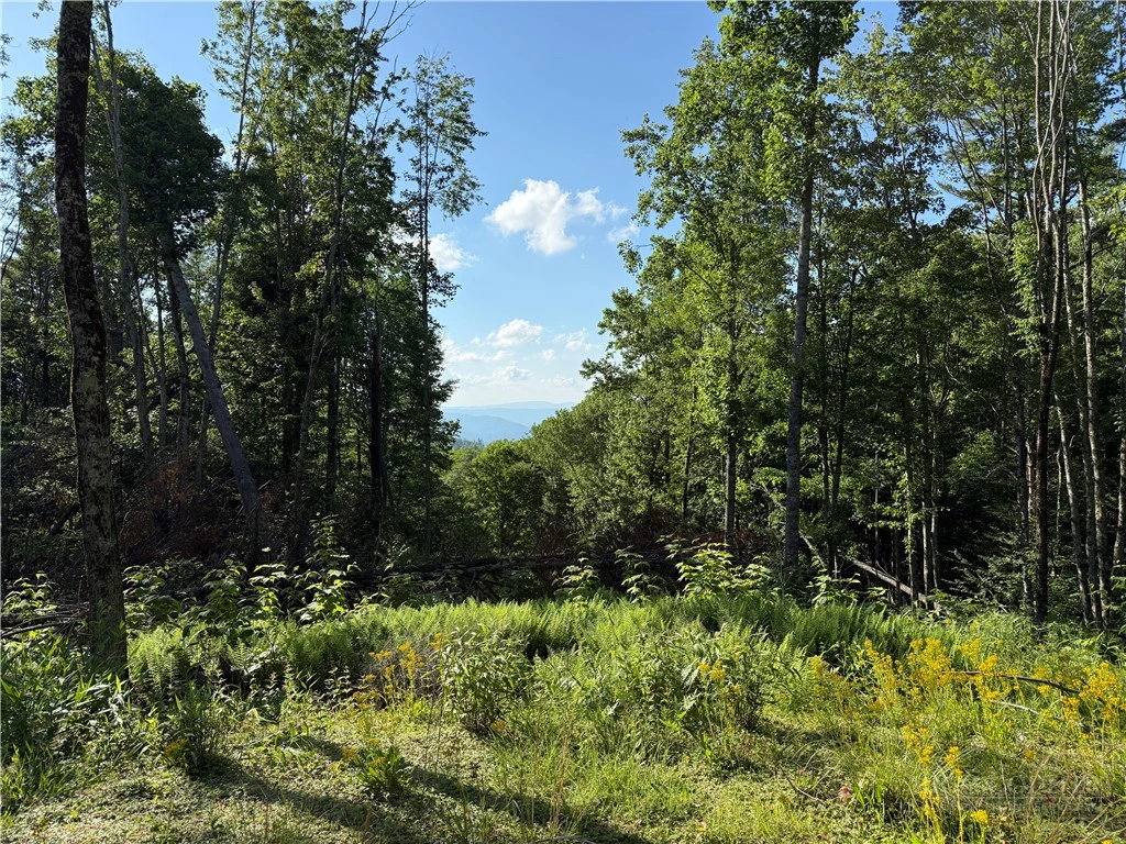 Image number 9 for the current listing