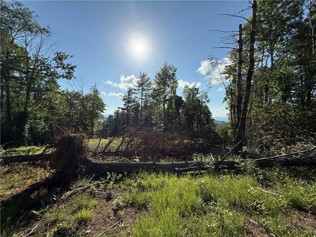 Image number 10 for the current listing