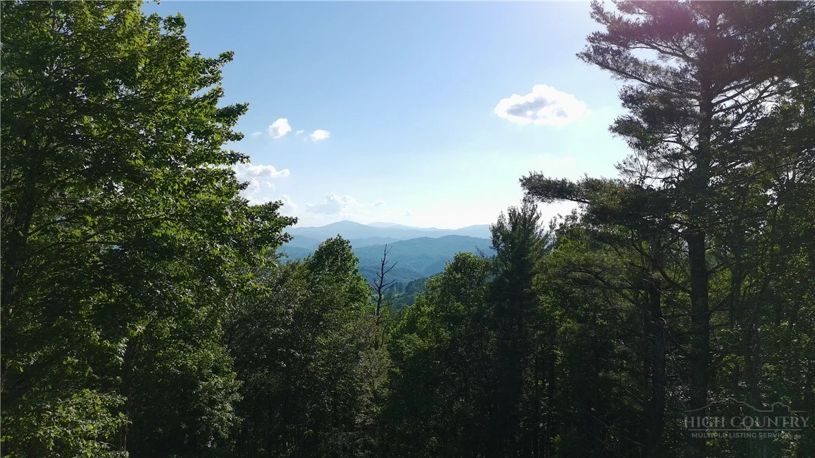 Image number 11 for the current listing