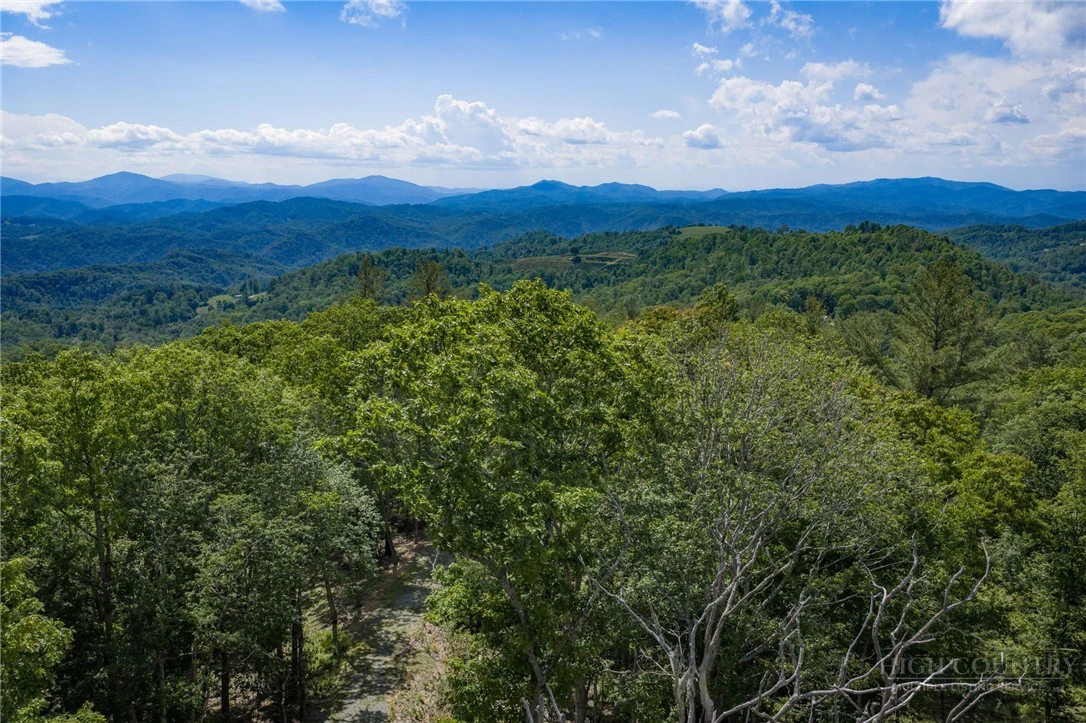 Image number 2 for the current listing