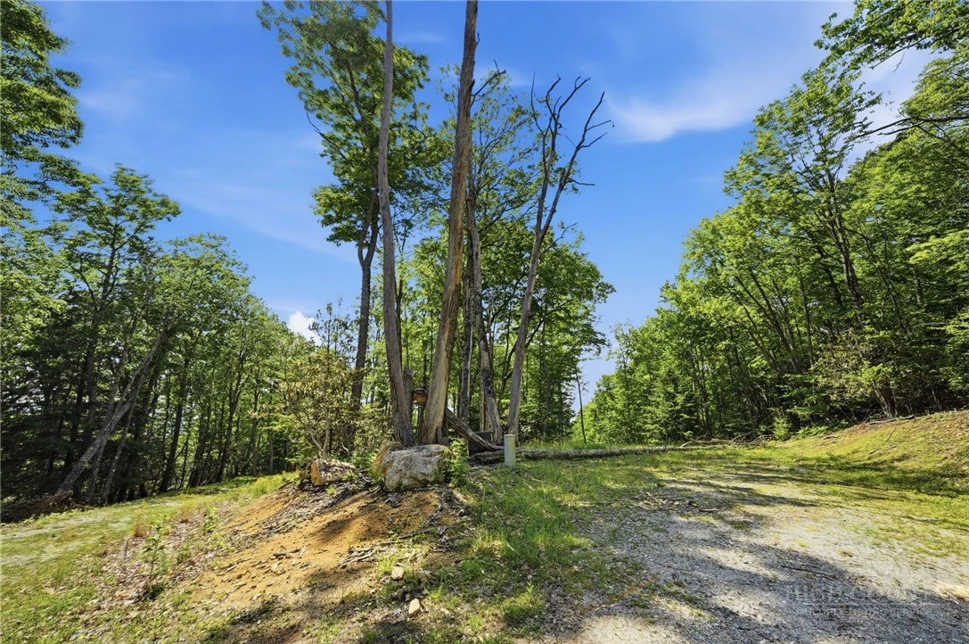 Image number 3 for the current listing