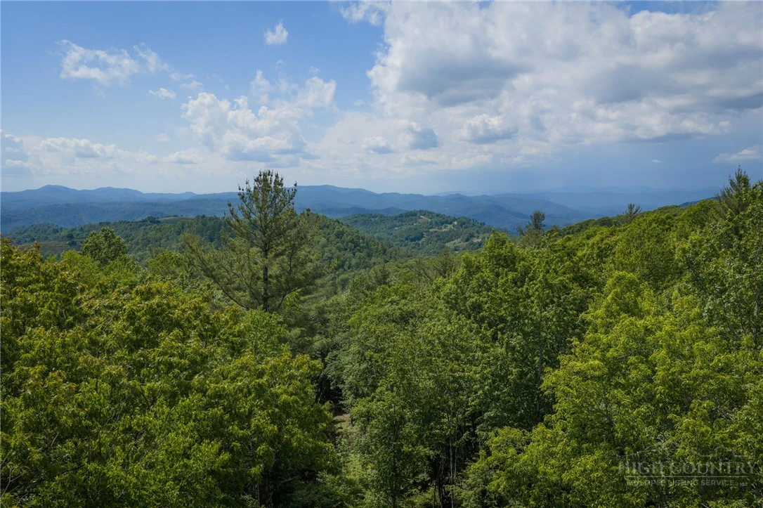 Image number 8 for the current listing