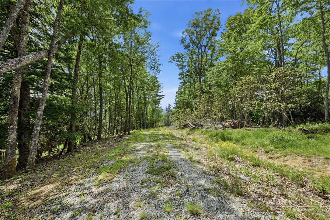 Image number 11 for the current listing